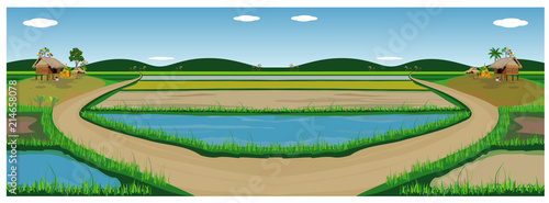 paddy field vector design
