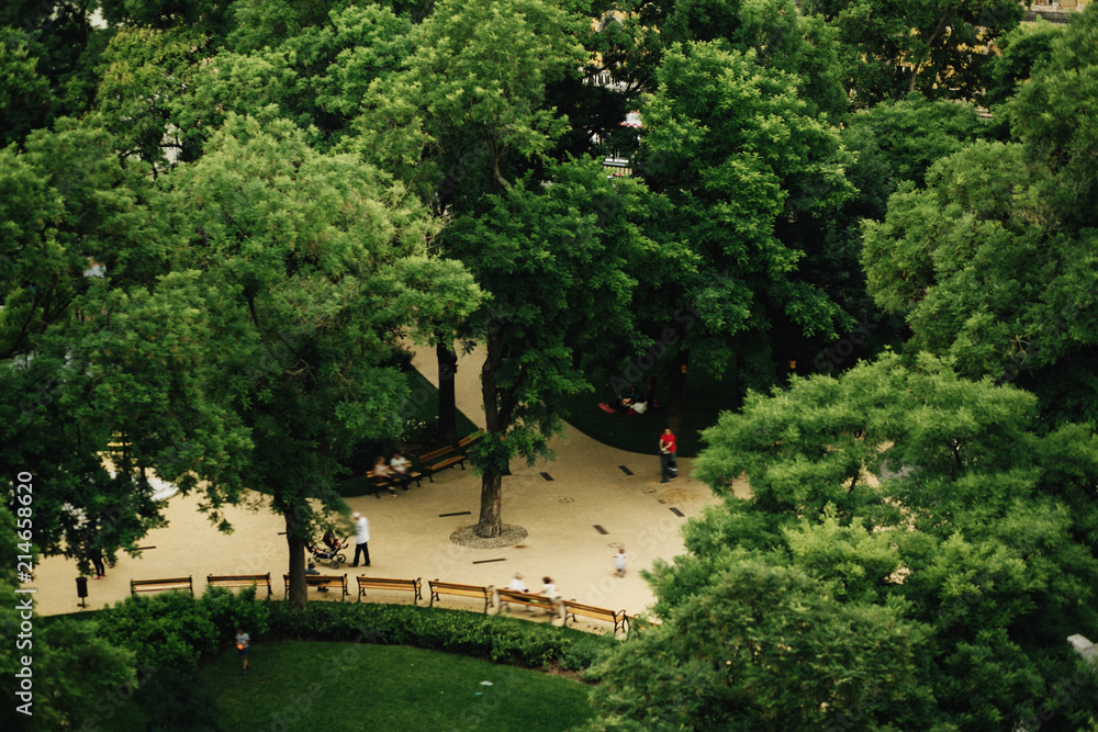 beautiful view of green park area for relaxation in Budapest city, travel concept beautiful view of green park area for relaxation in Budapest city, travel concept