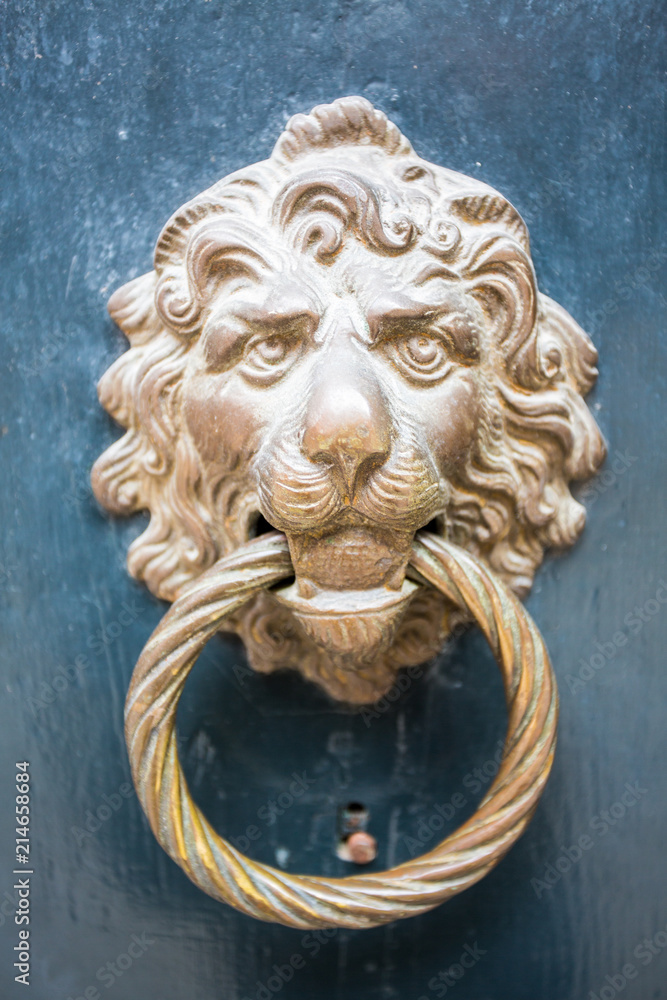 A Lion Door Knocker