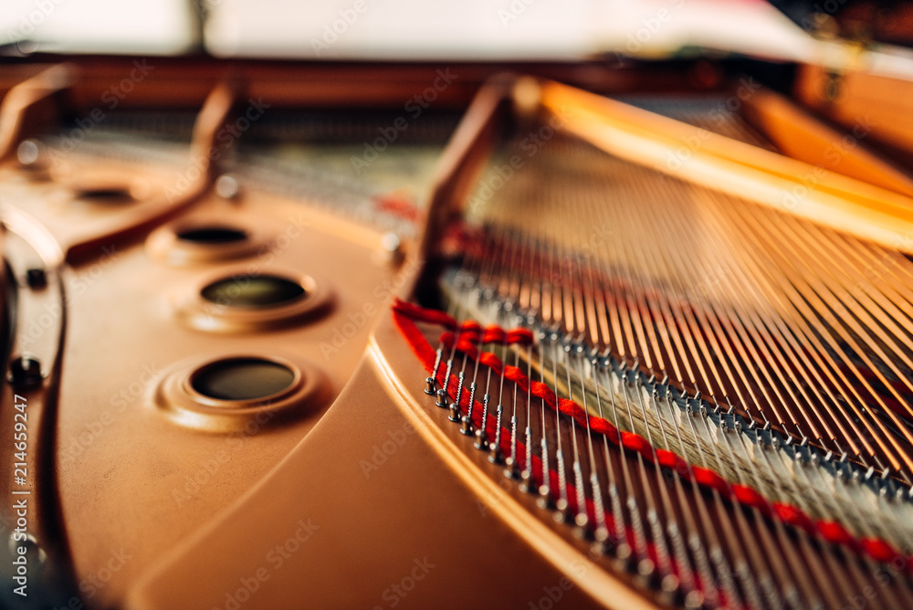 Inside grand piano strings closeup nobody Stock Photo Adobe Stock