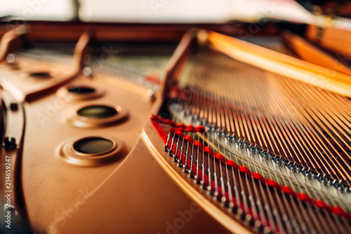 Inside grand piano, strings closeup, nobody photo