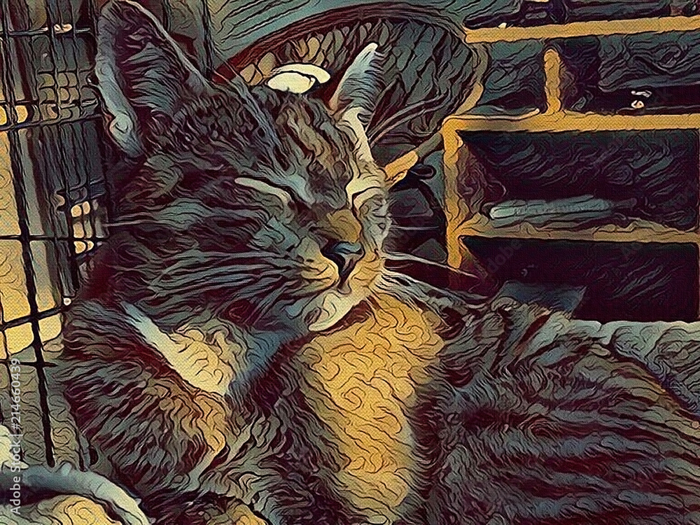 Obraz Kot