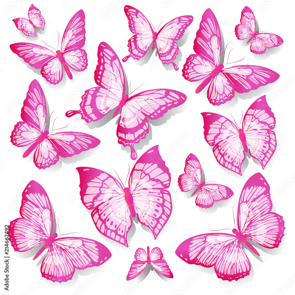 beautiful pink butterflies, isolated  on a white