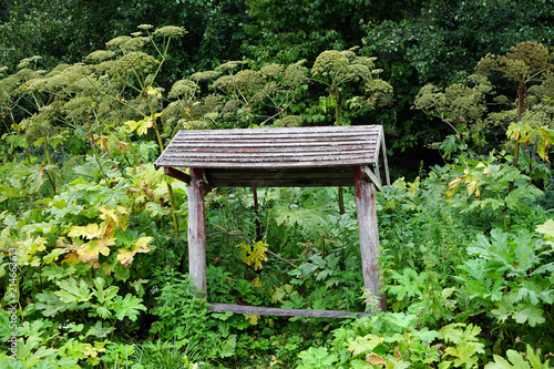 Wooden bench © Valery Shanin