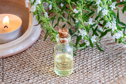 A bottle of mountain savory essential oil with fresh Satureja montana photo