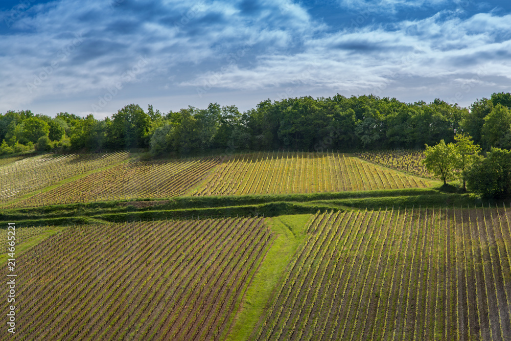 Tilled Fields in Spring Time, Burgundy Region, France
