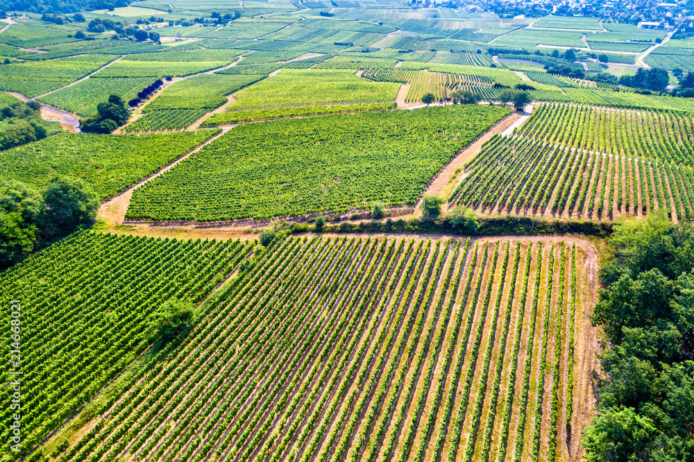Aerial view of vineyards in Alsace, France