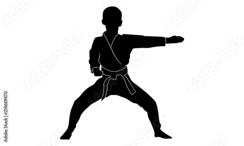 silhouette boy is practicing karate