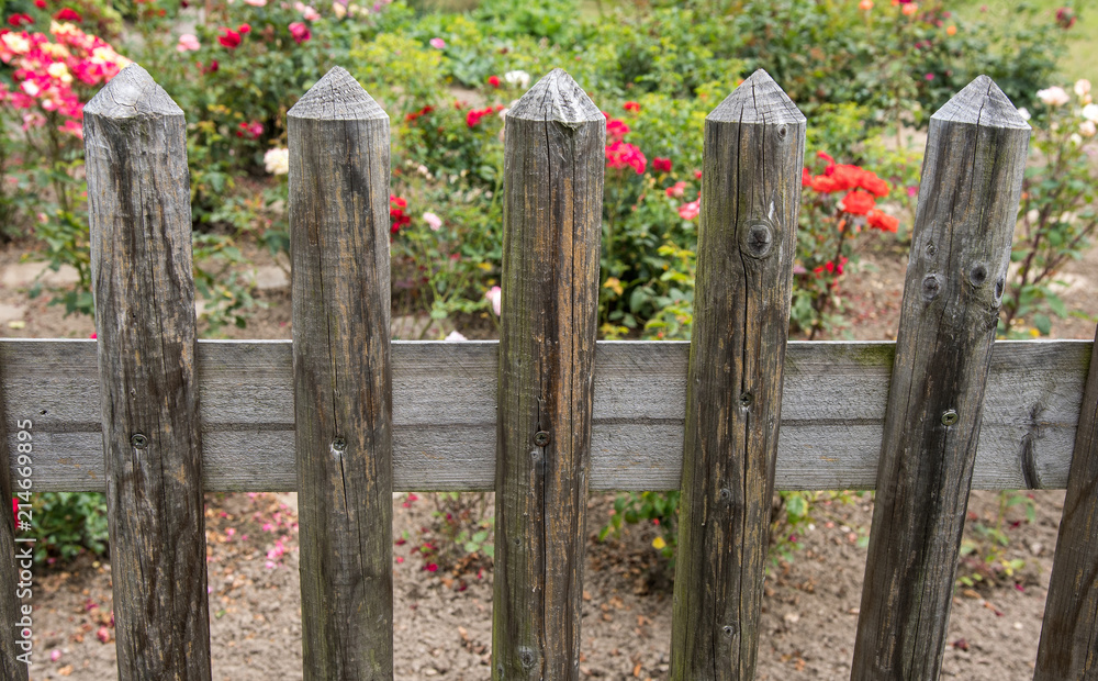 Gartenzaun Gartenzaun