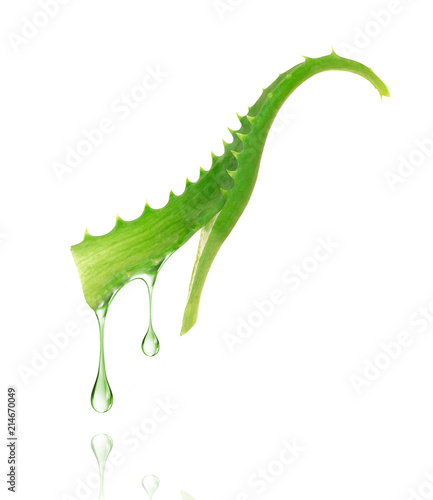 Cutted stem of aloe vera with juice on white background photo