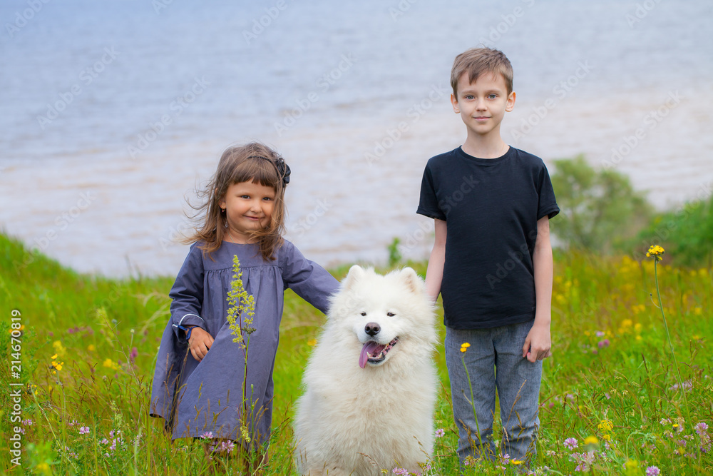 boy and girl in the summer with a big mount dog of the Samoyed boy and girl in the summer with a big mount dog of the Samoyed
