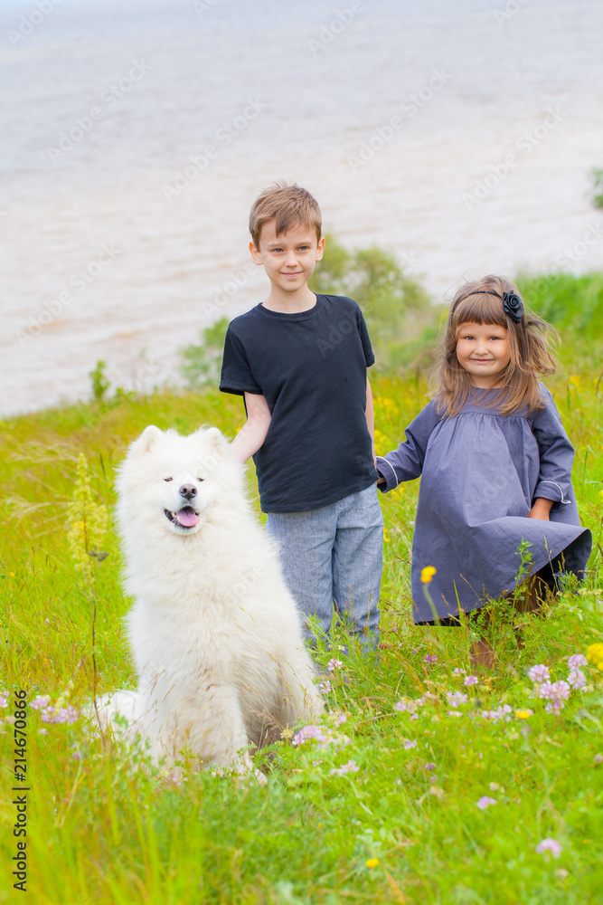 boy and girl in the summer with a big mount dog of the Samoyed boy and girl in the summer with a big mount dog of the Samoyed