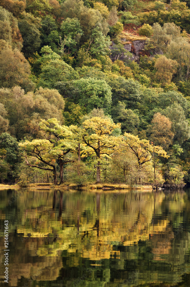 Trees on island reflecting on Loch Lomond Scotland Trees on island reflecting on Loch Lomond Scotland