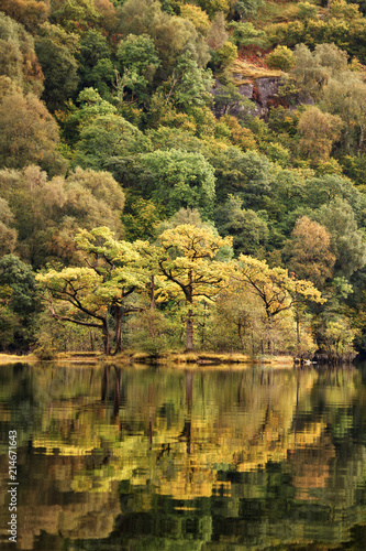 Trees on island reflecting on Loch Lomond Scotland