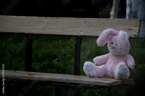 Lonely forgotten abandoned teddy toy bunny rabbit sat on an old wooden bench and waiting for owner. Concept: depression. photo