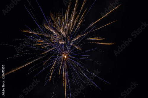 Wallpaper Mural Fourth of July fireworks. Torontodigital.ca