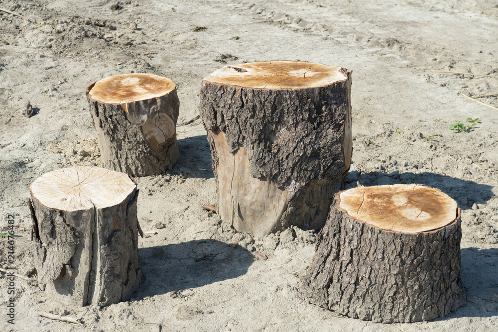 Rough street wooden furniture. Outdoor recreation on a Sunny day. Rough street wooden furniture. Outdoor recreation on a Sunny day.