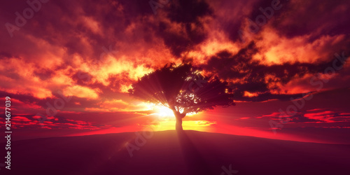 tree sunset in field