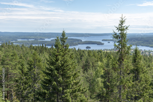 Landscape with forest and lake in Sweden