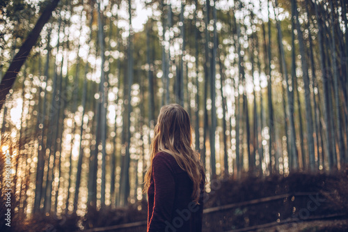 Photography Golden Morning Light in a Bamboo Forest