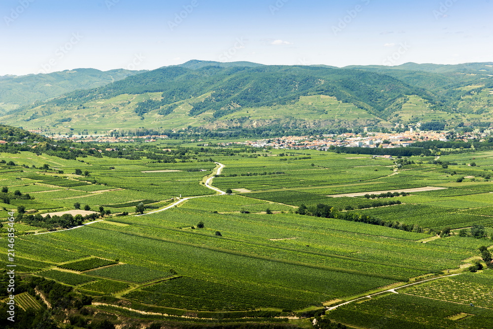 Summer view to Wachau valley near Krems, Lower Austria. Summer view to Wachau valley near Krems, Lower Austria.