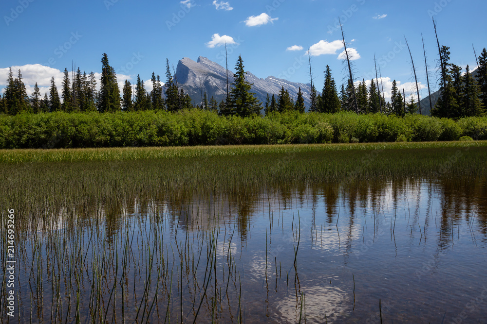 Obraz premium Beautiful Canadian Landscape View during a sunny summer day. Taken in Vermilion Lakes, Banff, Alberta, Canada.