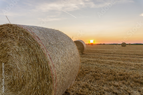 Straw bales stacked in a field at sunset time, Reims , France