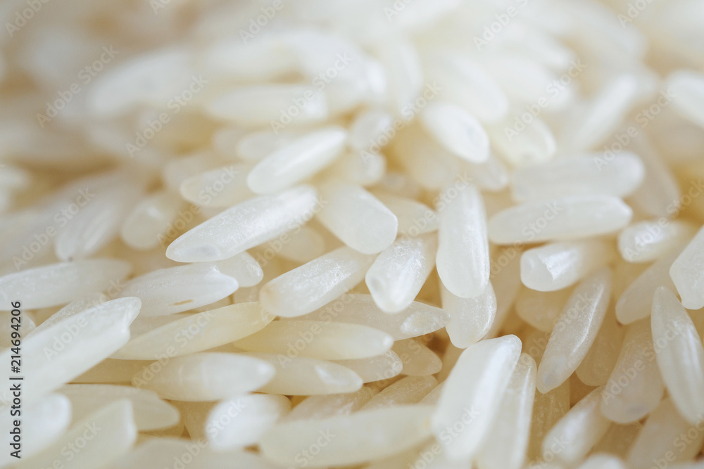 Thailand Jasmine rice texture background close up Thailand Jasmine rice texture background close up