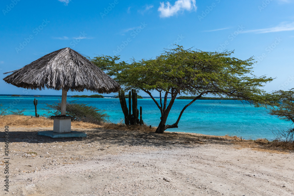 Aruba - Thatched umbrella, cactus and acacia tree overlooking lagoon 