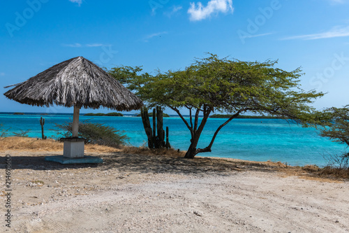 Aruba - Thatched umbrella, cactus and acacia tree overlooking lagoon 