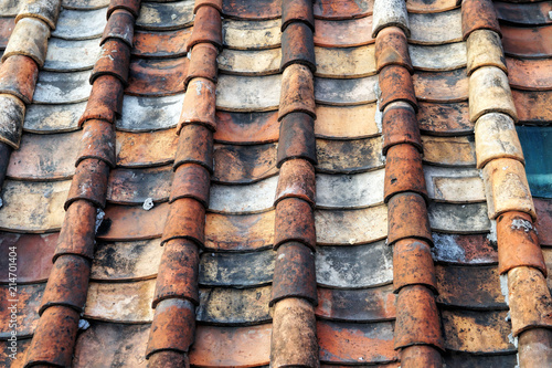  tile roof texture © Liudmila Dmitrieva