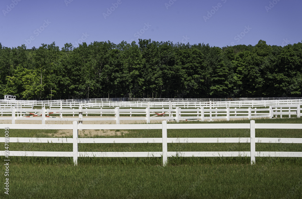 White horse corrals