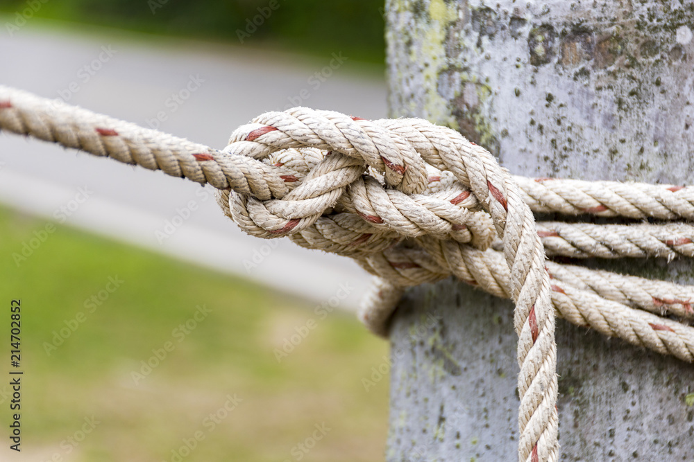 Close up Rope tied around a tree trunk in front of blurred natural