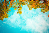 vintage photo of autumn tree with blue sky. nature background of fall season. vintage colour tone.