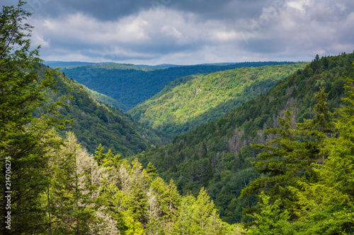 A view of the Blackwater Canyon, at Blackwater Falls State Park, West Virginia.