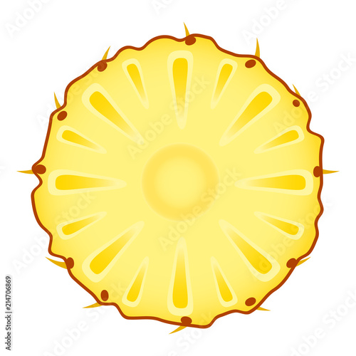 Vector illustration of pineapple ring isolated on white background. Sliced tropical fruit.
