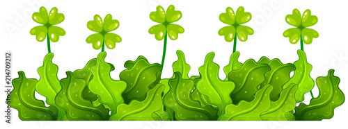 Green bush with four leaf clovers