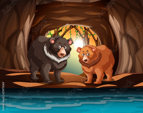 Grizzly bears living in the cave