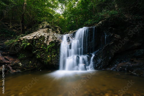 Cascade Falls  at Patapsco Valley State Park  Maryland