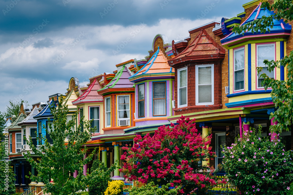 Colorful row houses on Guilford Avenue, in Baltimore, Maryland