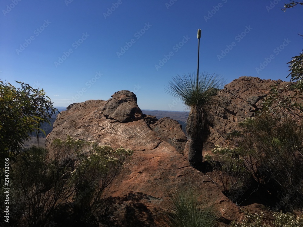 Fototapeta premium flinders ranges, south australia