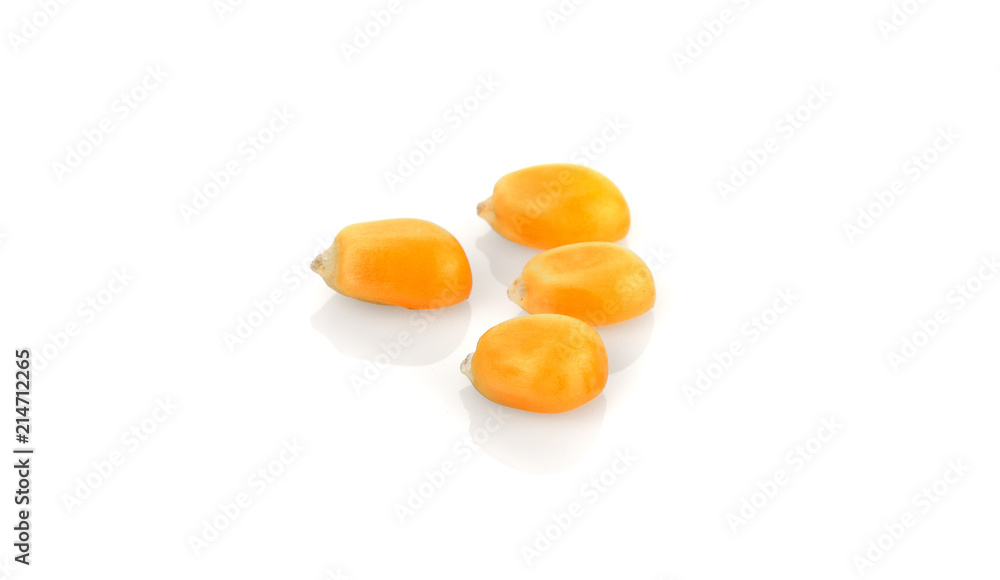 Dried yellow corn kernels on white background. Dried yellow corn kernels on white background.