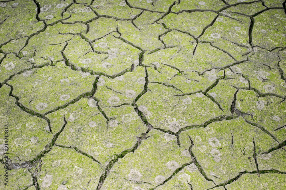 The texture of the cracking of the earth. The concept of using natural resources The texture of the cracking of the earth. The concept of using natural resources