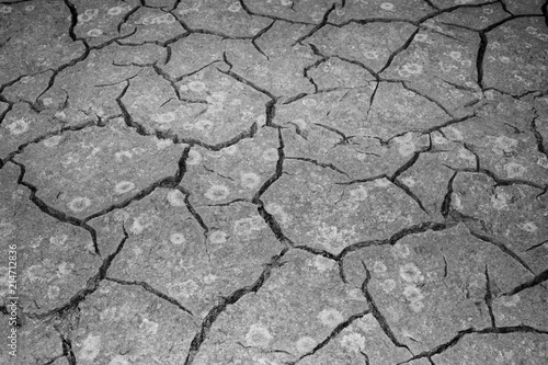 The texture of the cracking of the earth. The concept of using natural resources. Black and white image photo