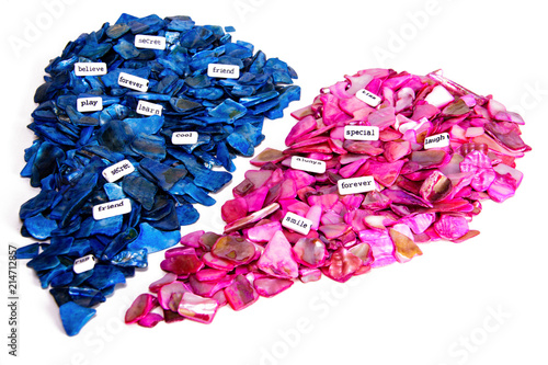 Pink and blue rocks, divided heart coming together.  Concept two halves creating a romantic union or friendship with scattered words smile, forever, special, friend,believe, laugh.  Isolated on white. photo