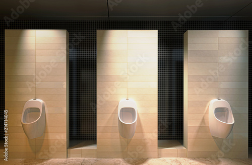 Toilette per uomo con orinatoio, wc, rendering 3d, bagni pubblici, illustrazione 3d photo
