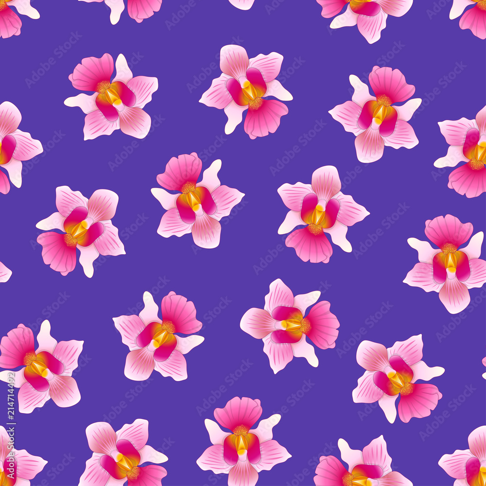 Pink Vanda Miss Joaquim Orchid on Purple Violet Background