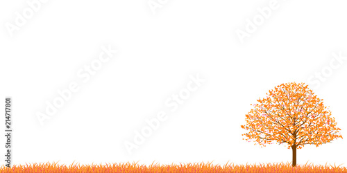 紅葉　葉　秋　背景