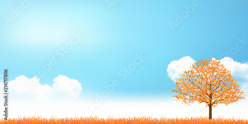 紅葉　葉　秋　背景