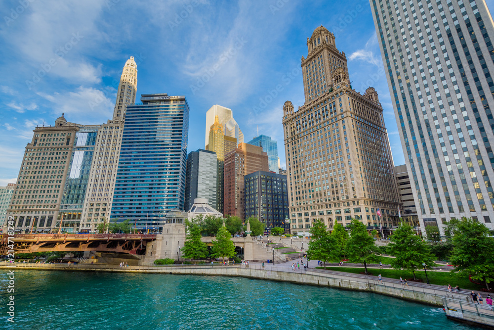 Fototapeta premium Wieżowce wzdłuż rzeki Chicago w Chicago, Illinois